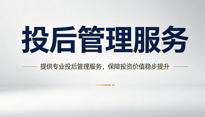 投后管理服务