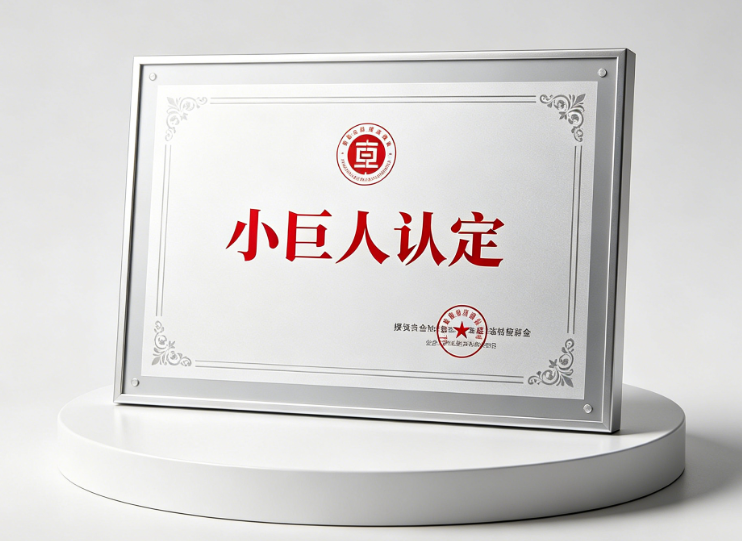 "小巨人"认定(图1)